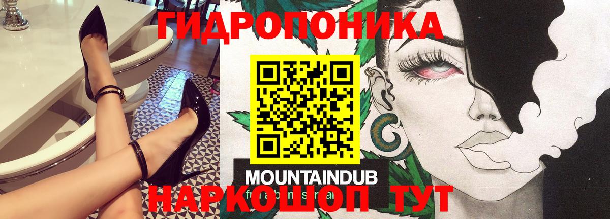 Якутск  Конопля конопля  Каннабис план  Каннабис OG Kush  Канабис White Widow  Вход с VPN 